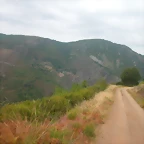 DSCN2342