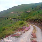 DSCN2341