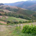 DSCN2332