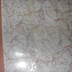 DSCN2386