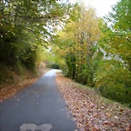 DSCN5946