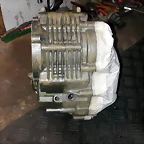 DSCN3950