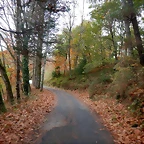 DSCN1243