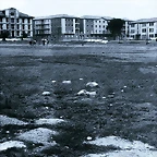 IMG-3855