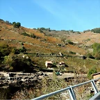 DSCN1573