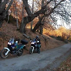 DSCN7017