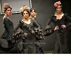 Pasarela 12-2-2015 (54)