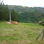 DSCN3735