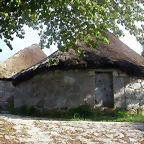 DSCN3834