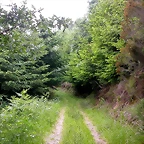 DSCN3721
