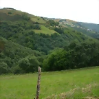 DSCN3741