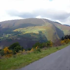 DSCN3815