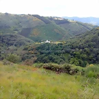 DSCN3737