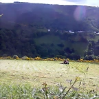 DSCN3767