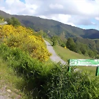 DSCN3772