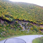 DSCN3796