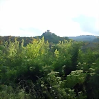 DSCN3893