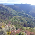 DSCN3779