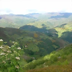 DSCN3786