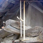 DSCN3836