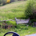 DSCN3852