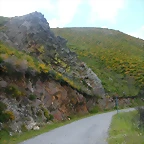 DSCN3798