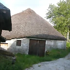 DSCN3832