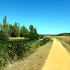 DSCN9041