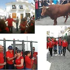 paterna1111