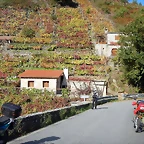 DSCN9791