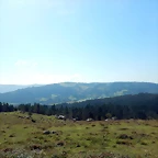 DSCN0599