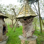 DSCN4329