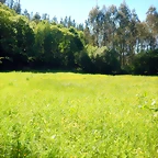 DSCN2327