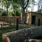 Zoo de Barcelona 12-04-11 271