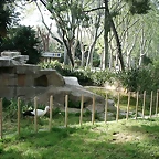 Zoo de Barcelona 12-04-11 278