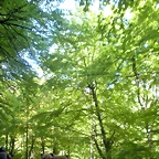 DSCN8492