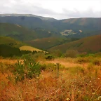 DSCN6628