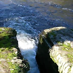 DSCN6363