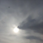 DSCN6711