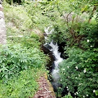 DSCN4538