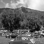 CAS_3682