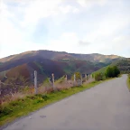 DSCN0898