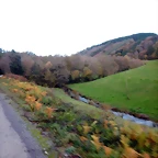 DSCN0596