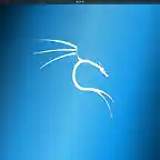 kali linux