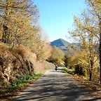 DSCN9615