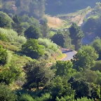 29-IMG_2369