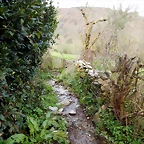 DSCN8967