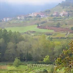 026-IMG_3307