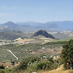 IMG-20200528-WA0023