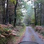 DSCN6405